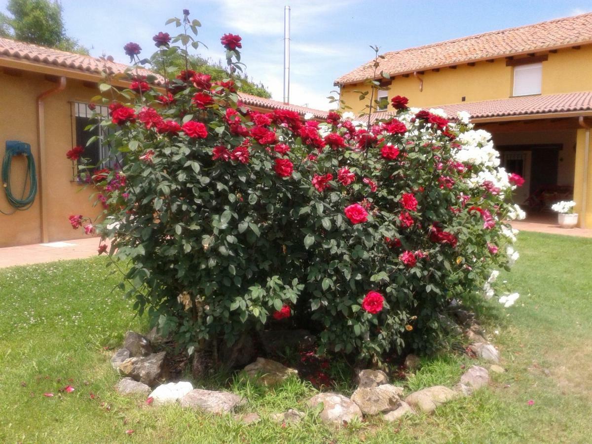 فيلا Casa Constanza Vega de Infanzones المظهر الخارجي الصورة